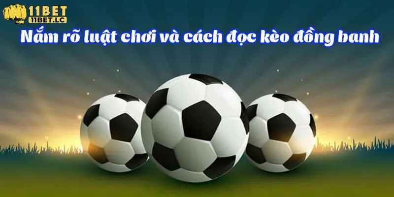 Cách đọc và tính tiền kèo đồng banh dễ thắng nếu biết nắm bắt